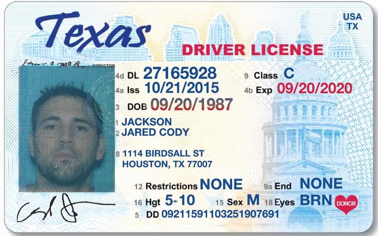 driver license generator texas